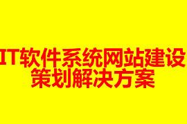 IT软件系统网站建设策划解决方案