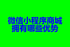 微信小程序商城拥有哪些优势【广州小程序开发】