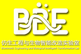 华南理工大学仿生工程与生物智能改造实验室网站建设签...