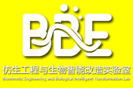 华南理工大学仿生工程与生物智能改造实验室网站建设签...